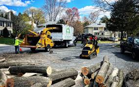 Menominee, MI  Tree Services Company